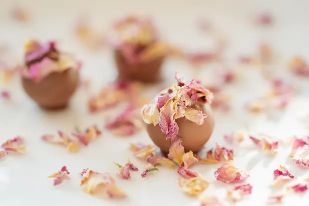 Fantastic Spins Casino Android/iOS App